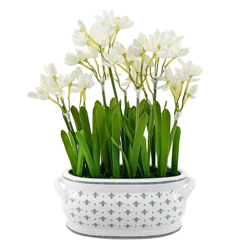 Willow Crossley Paperwhite Daisies in Ceramic Vessel, 14" | At Home