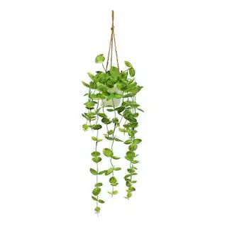 2.5ft. Hanging Dischidia in Ceramic Pot by Ashland® | Michaels | Michaels Stores