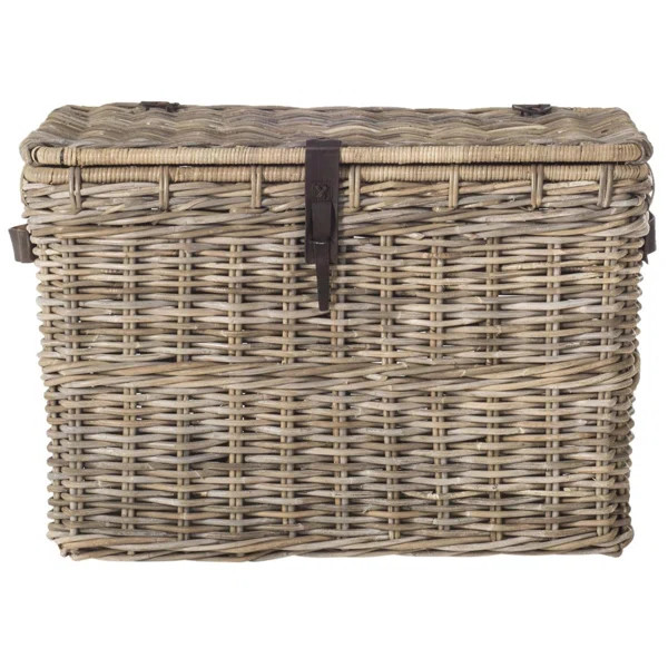 Whyte Wicker Trunk | Wayfair North America