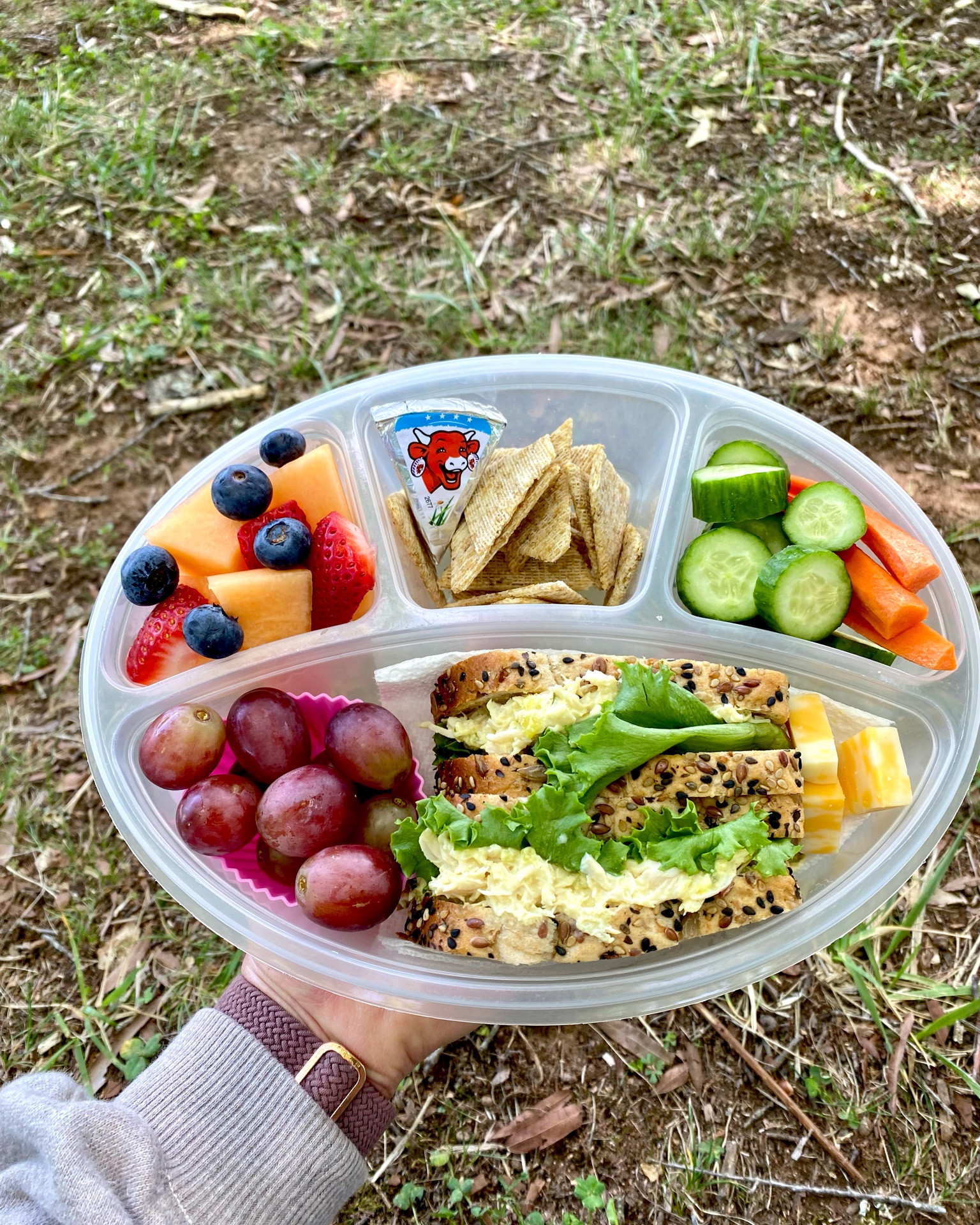 My favorite lunch containers for on the go!

#LTKmomlife #LTKfoodie #LTKTravel