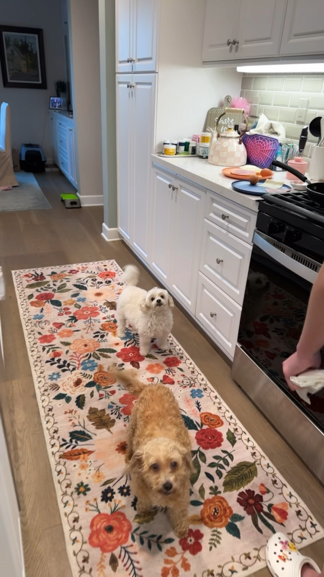 #1 best seller last week 

#LTKHome #LTKStyleTip #LTKFindsUnder50