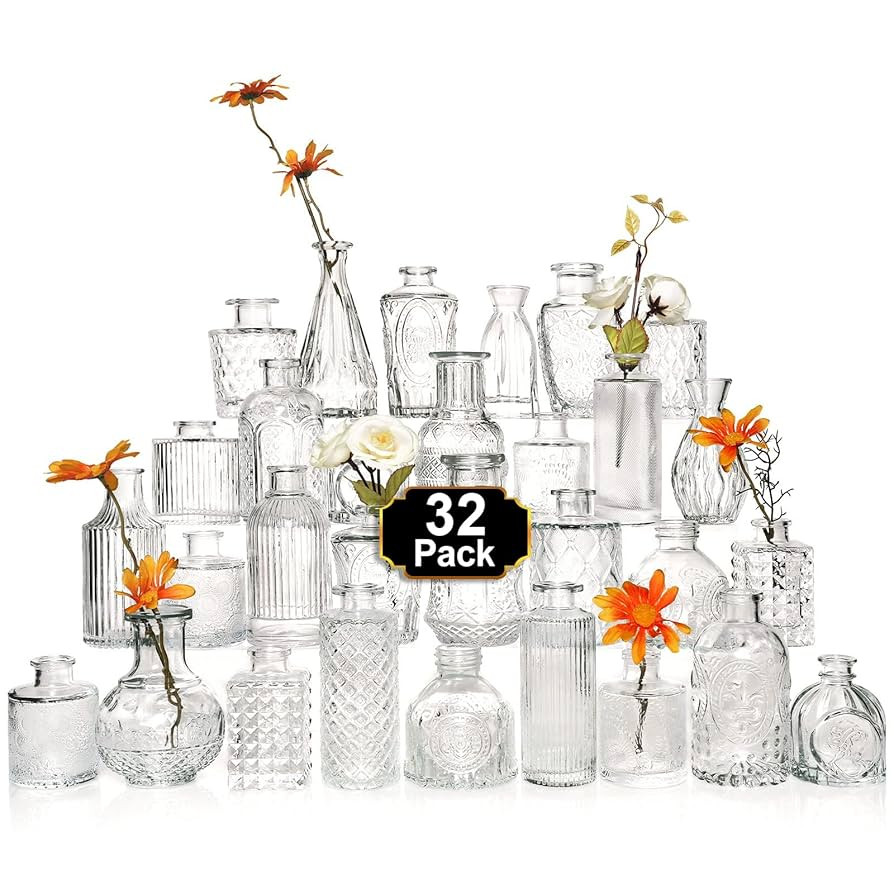 Arme Glass Bud Vase Set of 32 Pcs，Small Glass Vases for Flowers，Clear Bud Vases in Bulk，Vin... | Amazon (US)