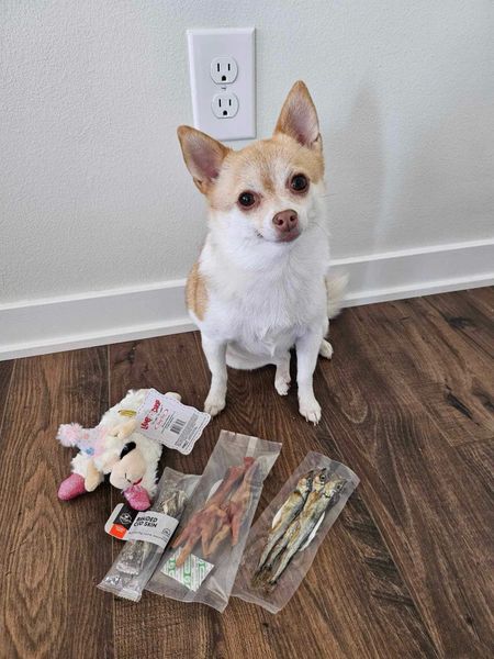 Poppy is 5 years old today!!!🎉🩷🥺
Here is a birthday haul🐾🐑🦴