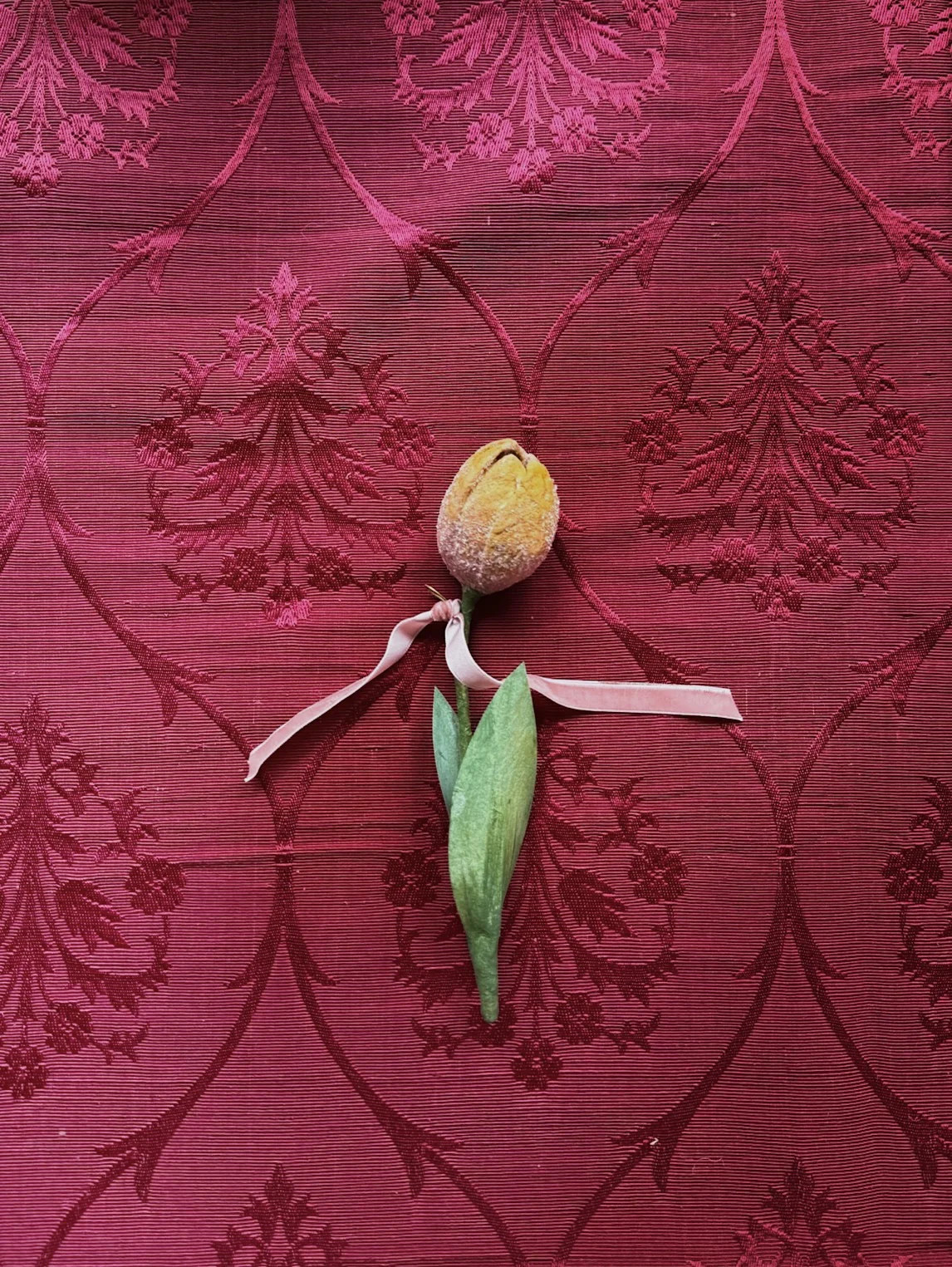 Tulip Floral Ornament | Parterre