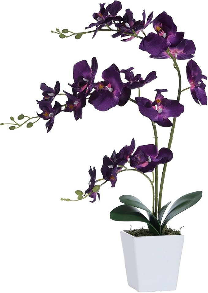 Faux Orchid in Vase Artificial Orchid in Ceramic Vase Tall Silk Orchids with Stems Real Look Phal... | Amazon (US)