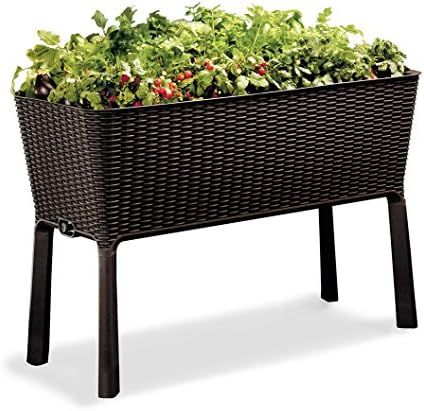 Keter Easy Grow 31.7 Gallon Raised Garden Bed with Self Watering Planter Box and Drainage Plug, Brow | Amazon (US)
