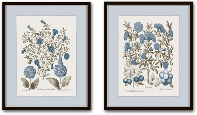 Belle Maison Art Sepia & Blue Botanical Prints No 4, Vintage Botanical Wall Art, Bedroom Kitchen ... | Amazon (US)