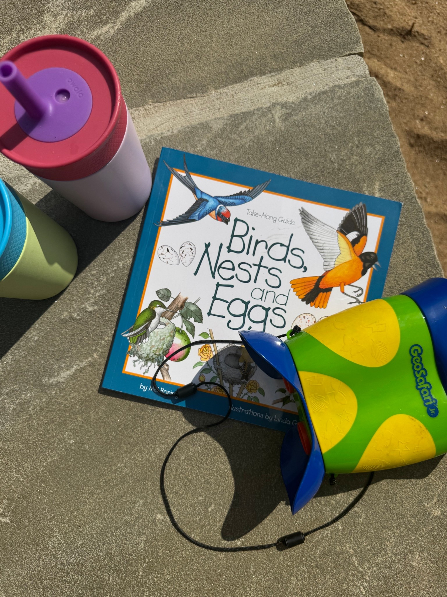 Nature walk essentials— water bottles, bird book, and binoculars. We love bringing a ziplock bag with us to collect sticks, leaves, and rocks too. 



#LTKFamily #LTKHome #LTKKids