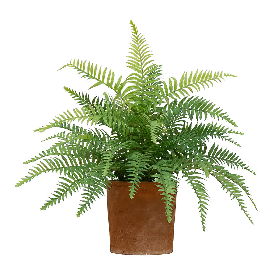 allen + roth 20-in Green Indoor Desktop Fern Artificial plant | Lowe's