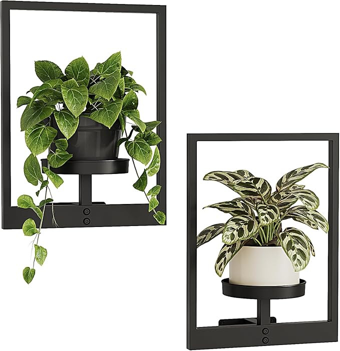 Bamworld Plant Stand Indoor Wall Decor Metal Plant Hanger Indoor Hanging Plant Holder Wall-Mounte... | Amazon (US)