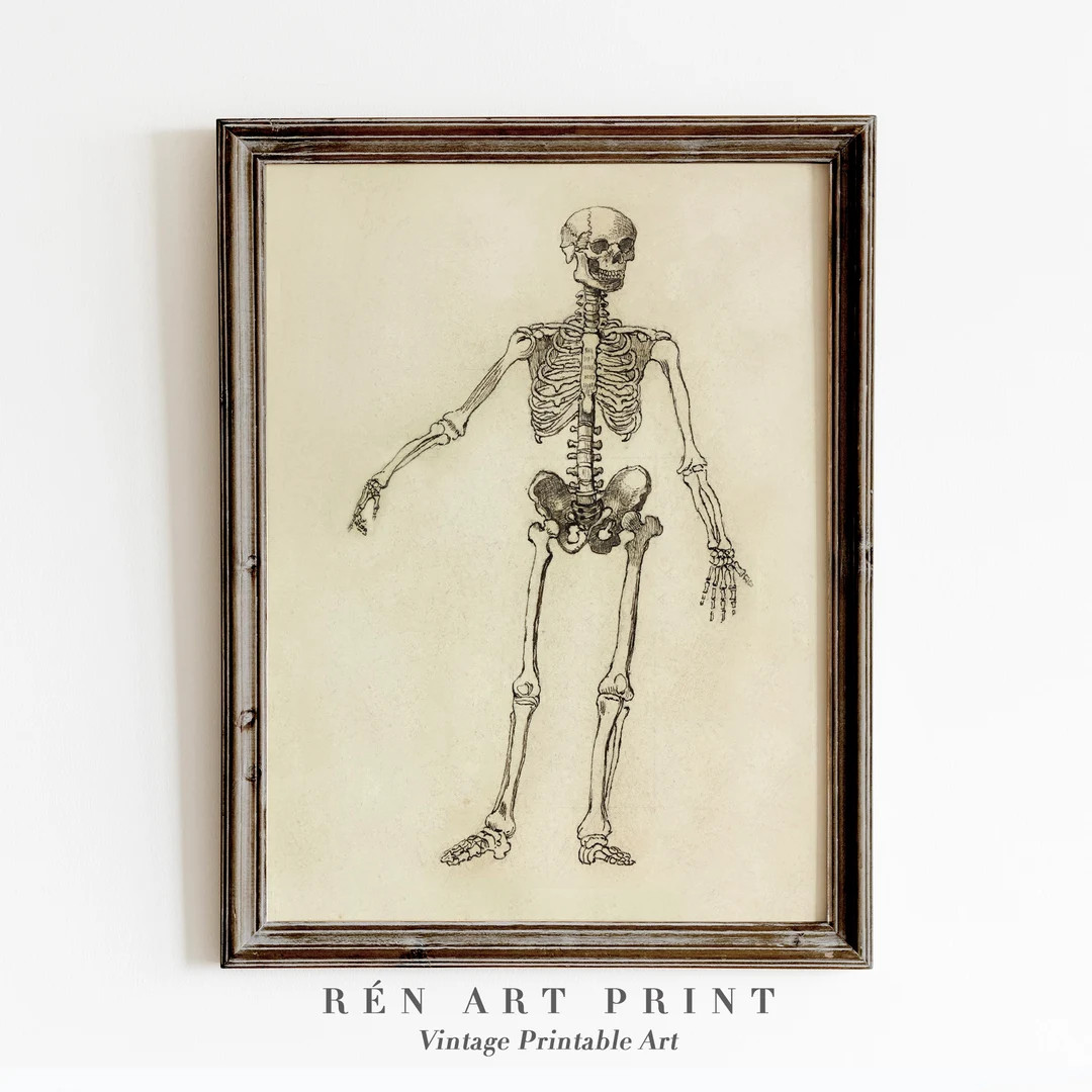 Skeleton Print | Vintage Halloween Printable Wall Art | Dark Academia Print | Dark Cottagecore Ha... | Etsy (US)
