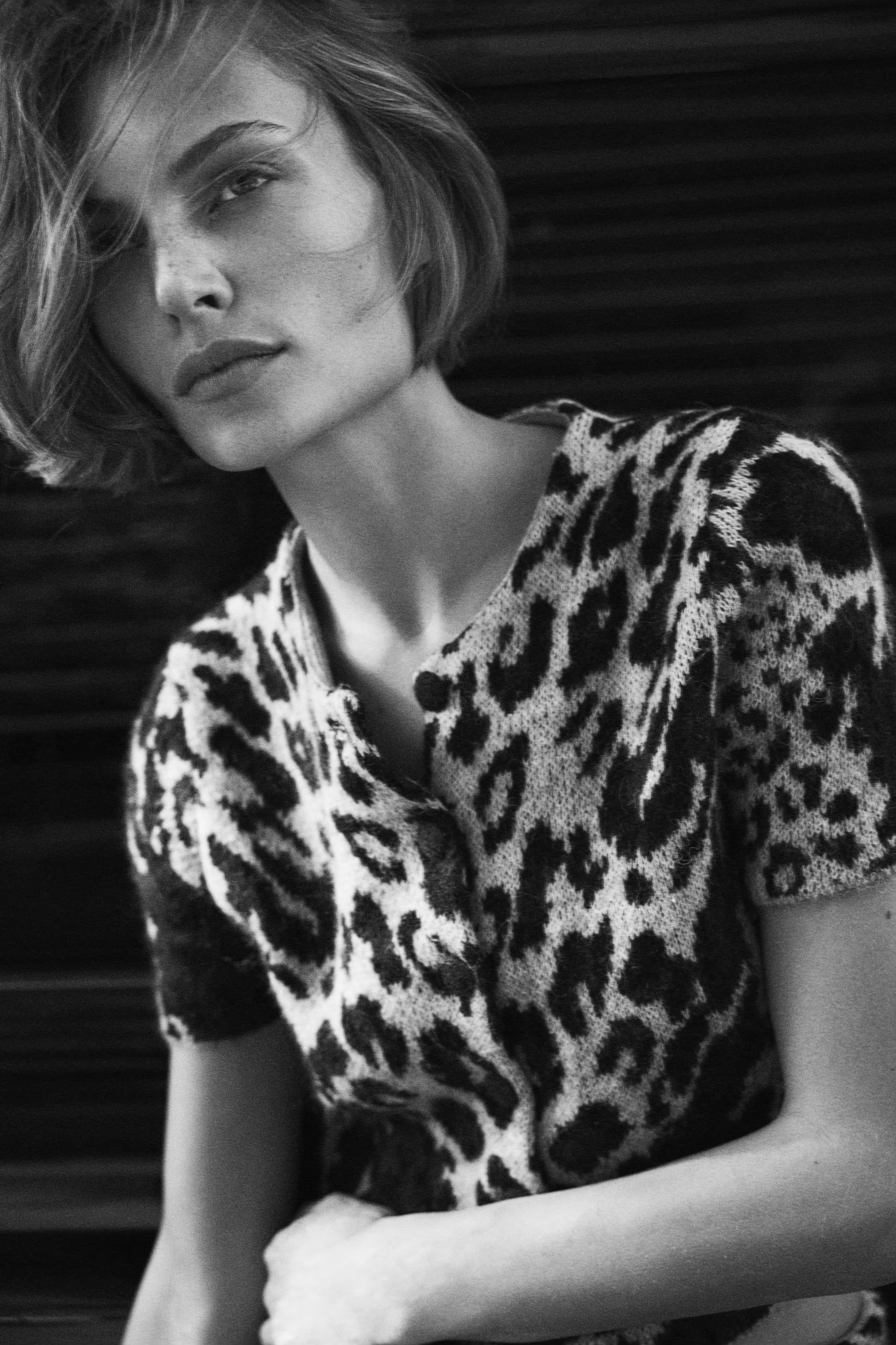 Jacquard-Knit Cardigan - Beige/leopard print - Ladies | H&M US | H&M (US + CA)