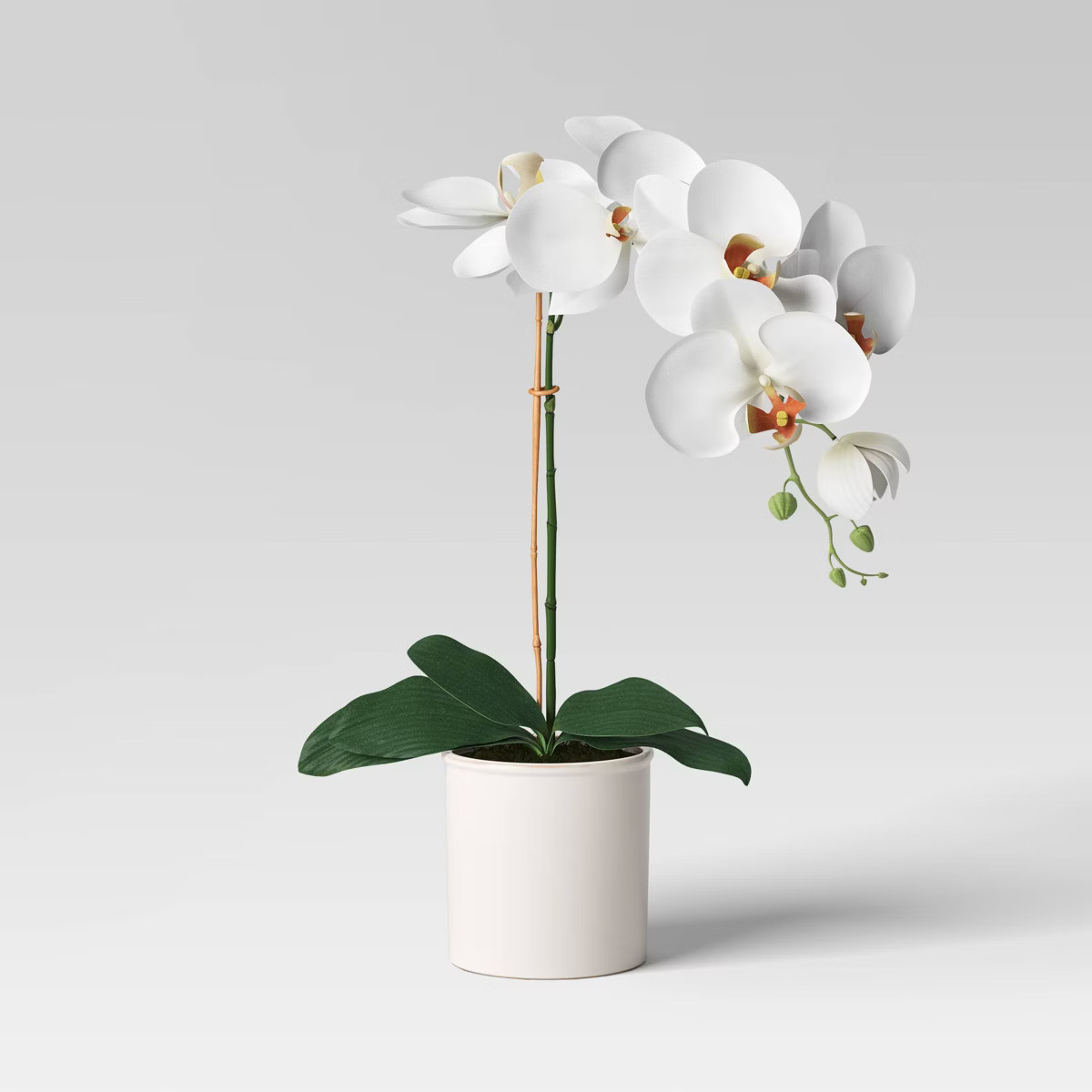 Orchid in White Pot - Threshold™ | Target