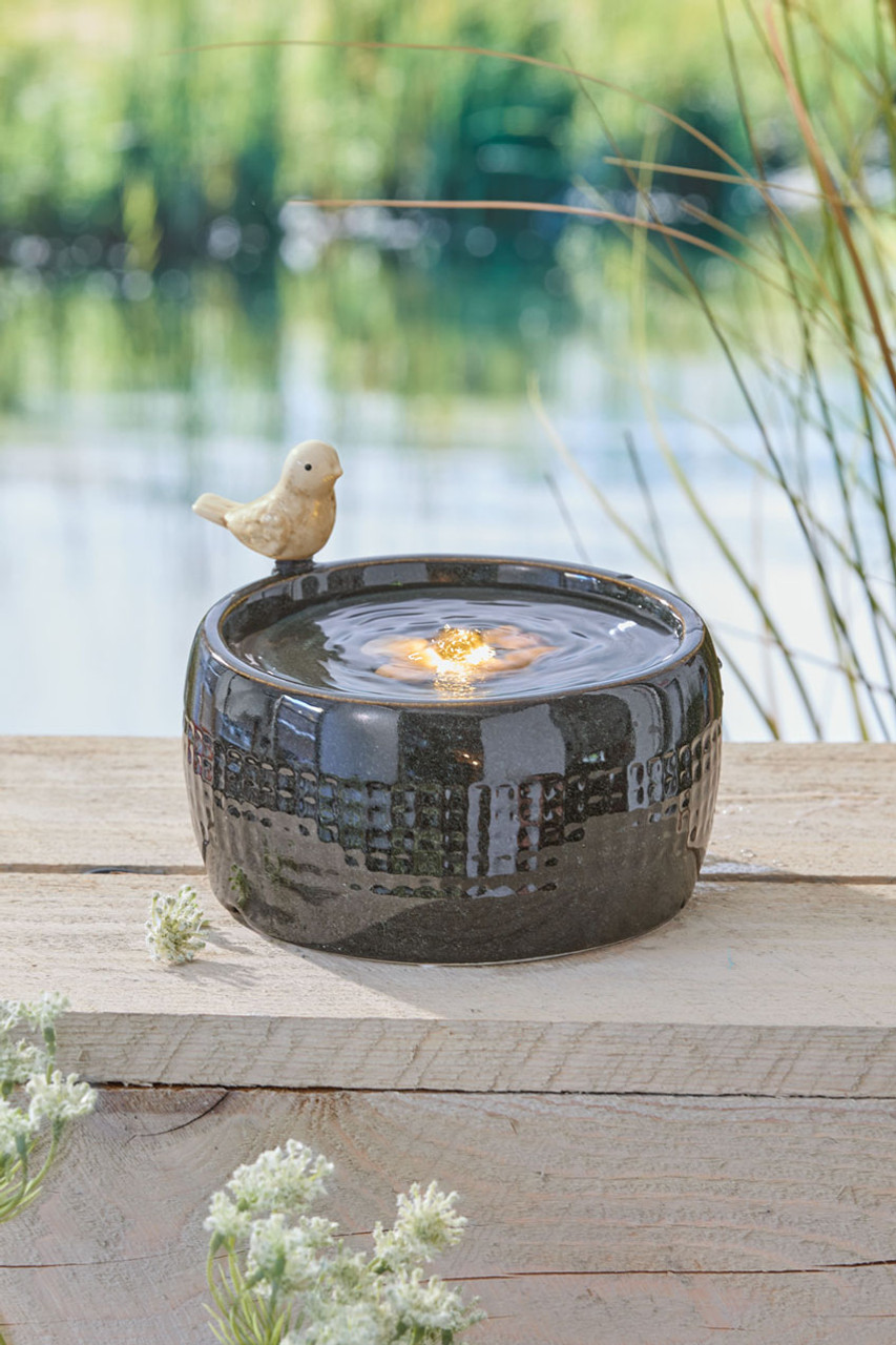 Elloise Perched Bird Fountain | Coldwater Creek