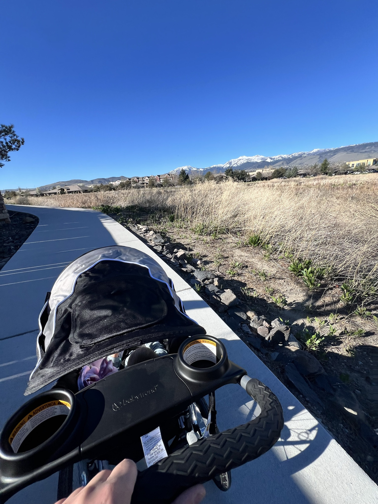 Determined to get back to running regularly 💪. Right now I’m taking cautious jogs to make sure I don’t mess my knees up again, but I’ll get there! 

#jogging #joggingstroller #postpartum #weightloss 

#LTKfitnessgoals #LTKActive #LTKmomlife