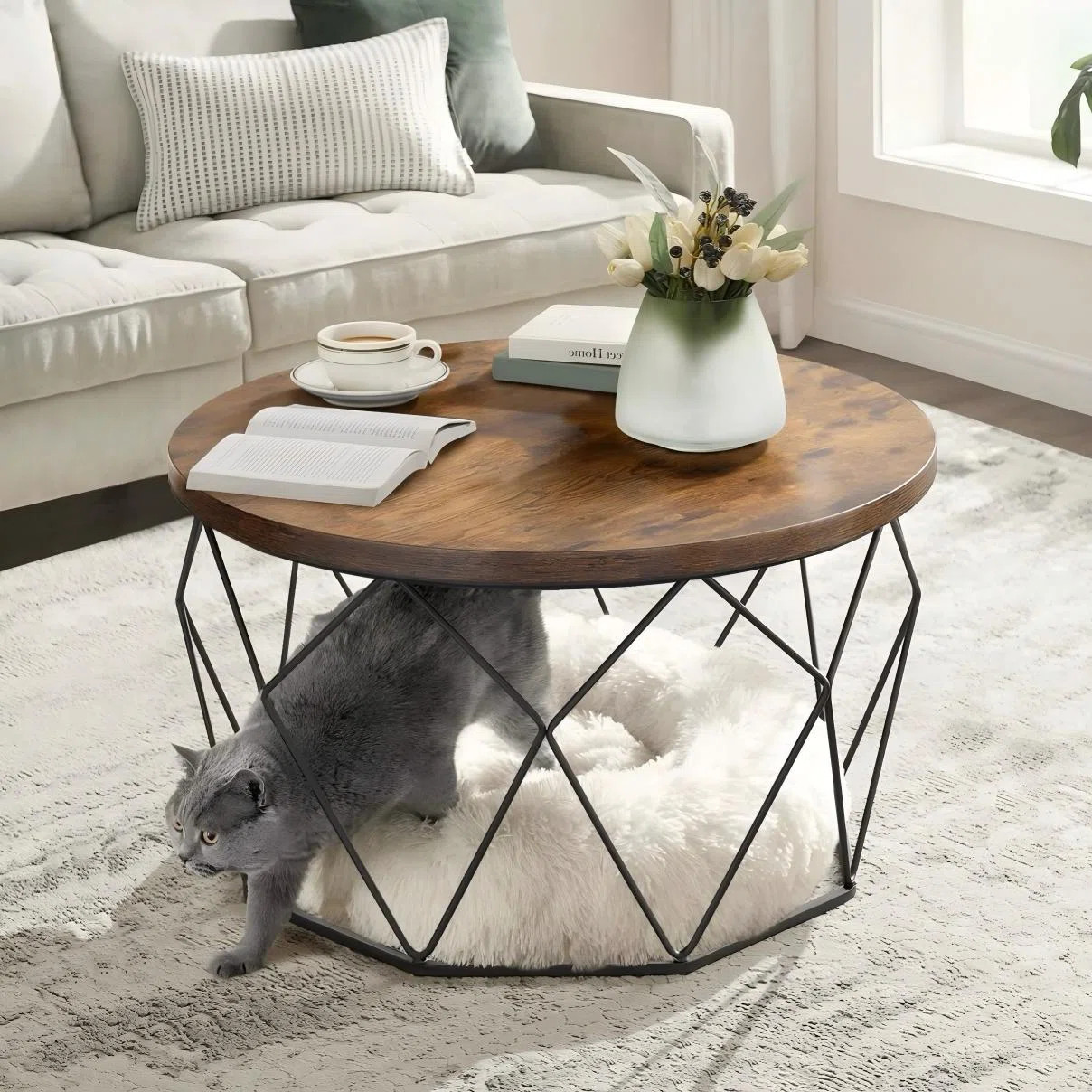 Trent Austin Design® Glennis Frame Coffee Table | Wayfair | Wayfair North America