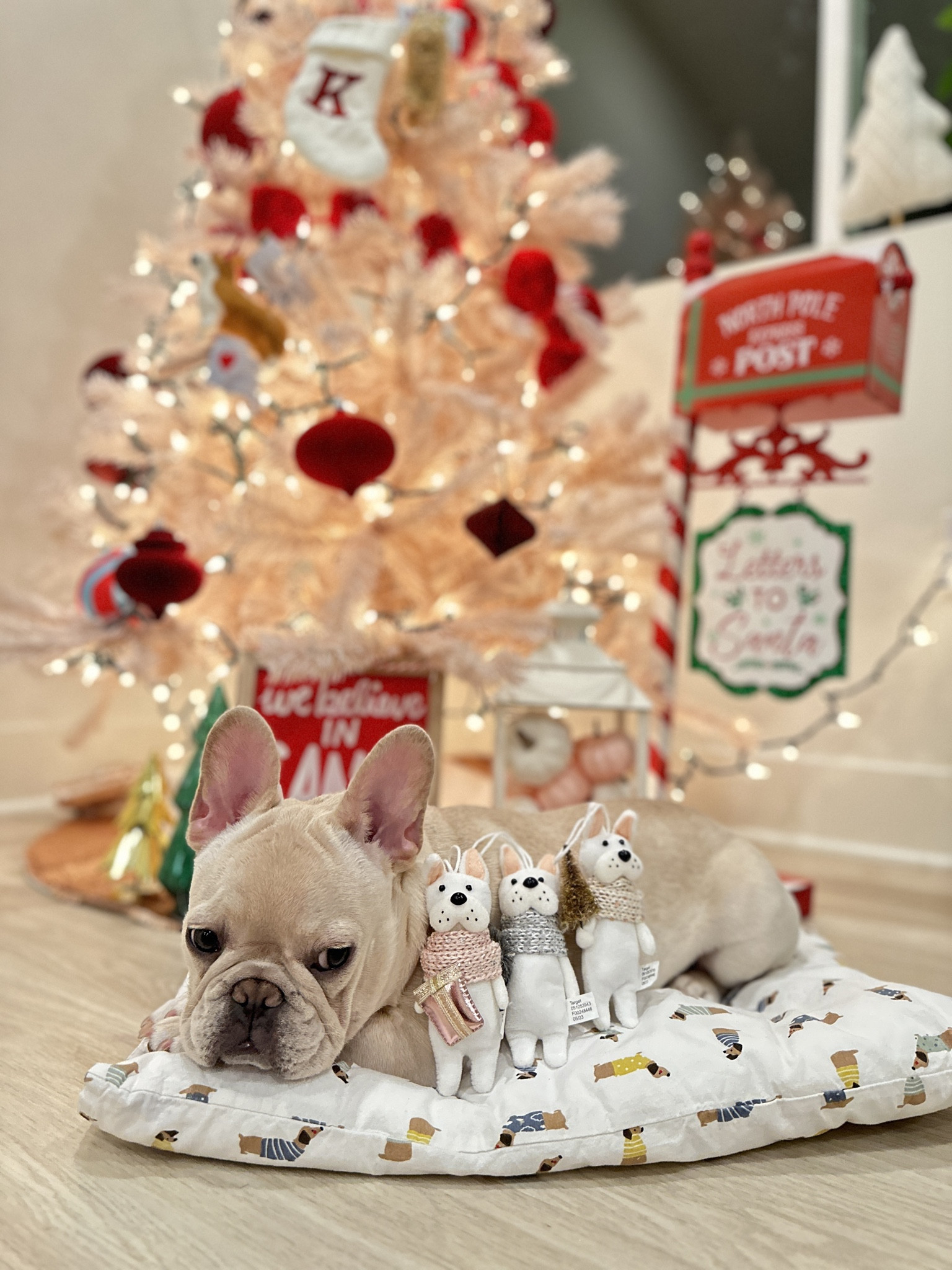 Calling all frenchie lovers! How adorable are these frenchie Christmas tree ornaments! So many other options to chose from 


#LTKhome #LTKHoliday #LTKSeasonal