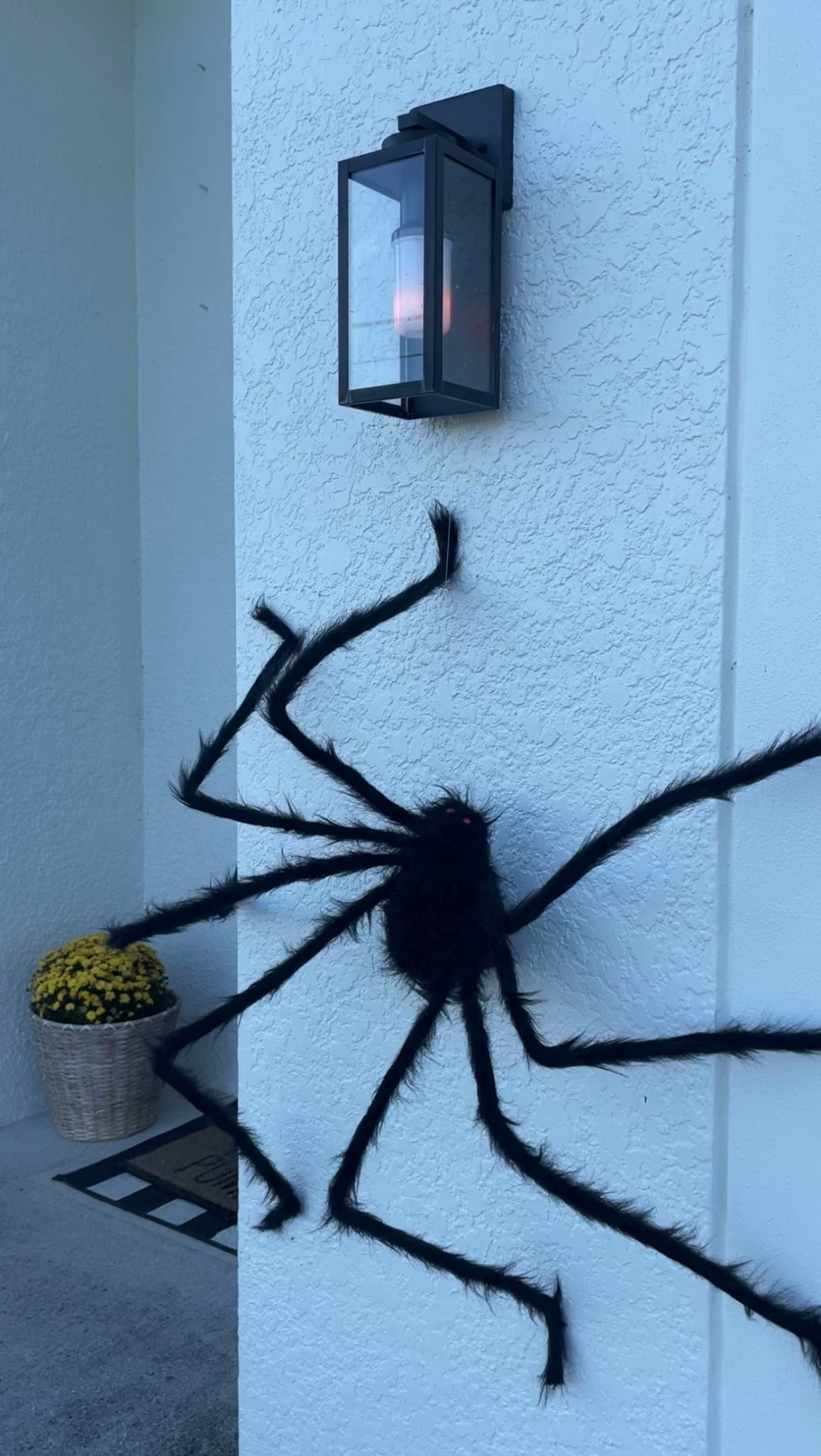 Upclose Halloween outdoor spiders. They are about 60” and don’t look cheap 🕷️🕸️
—
Outdoor decor, affordable home finds, Halloween decor finds, outdoor lanterns, under $50

#LTKSaleAlert #LTKSeasonal #LTKHalloween