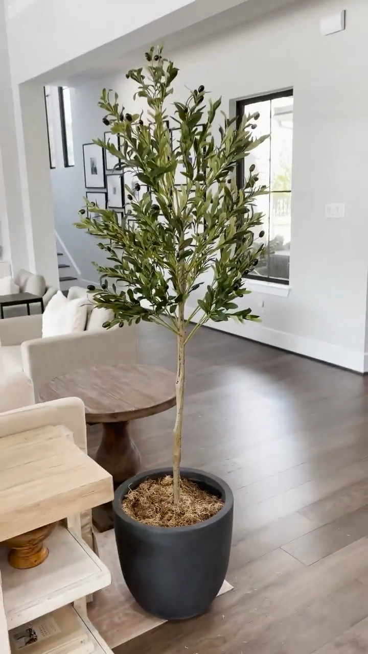How to make your houseplants look taller! Featuring the best faux olive tree from Amazon 😍

#LTKfindsunder50 #LTKSeasonal #LTKhome