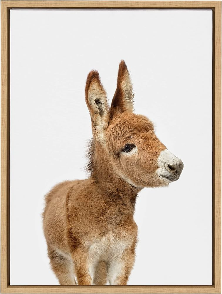 Kate and Laurel Sylvie Animal Studio Burro Framed Canvas Wall Art by Amy Peterson Art Studio; 18x... | Amazon (US)