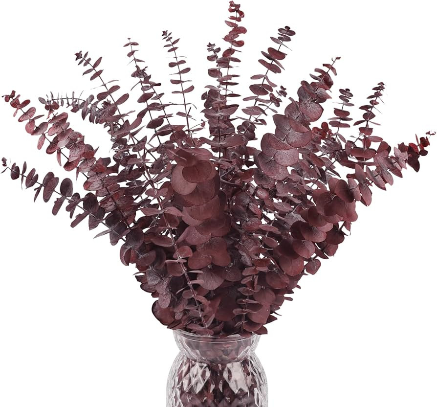 Fall Dried Eucalyptus Stems Red,20PCS Dried Eucalyptus for Vase, 17inch Real Eucalyptus Plant Fre... | Amazon (US)