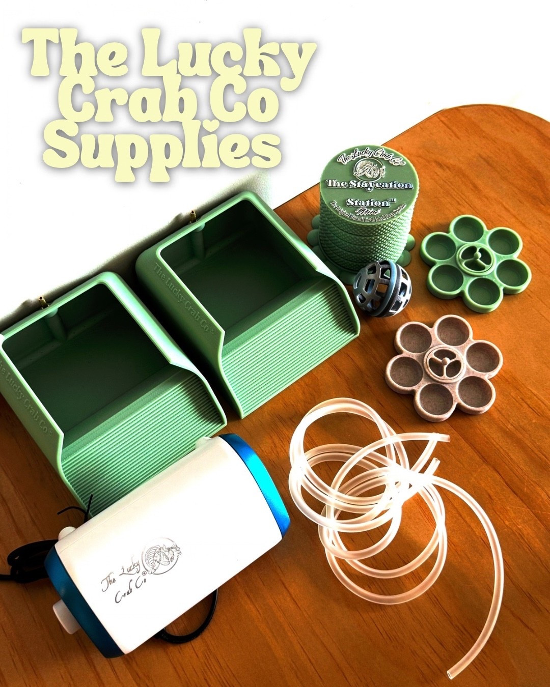The Lucky Crab Co supplies for hermit crabs