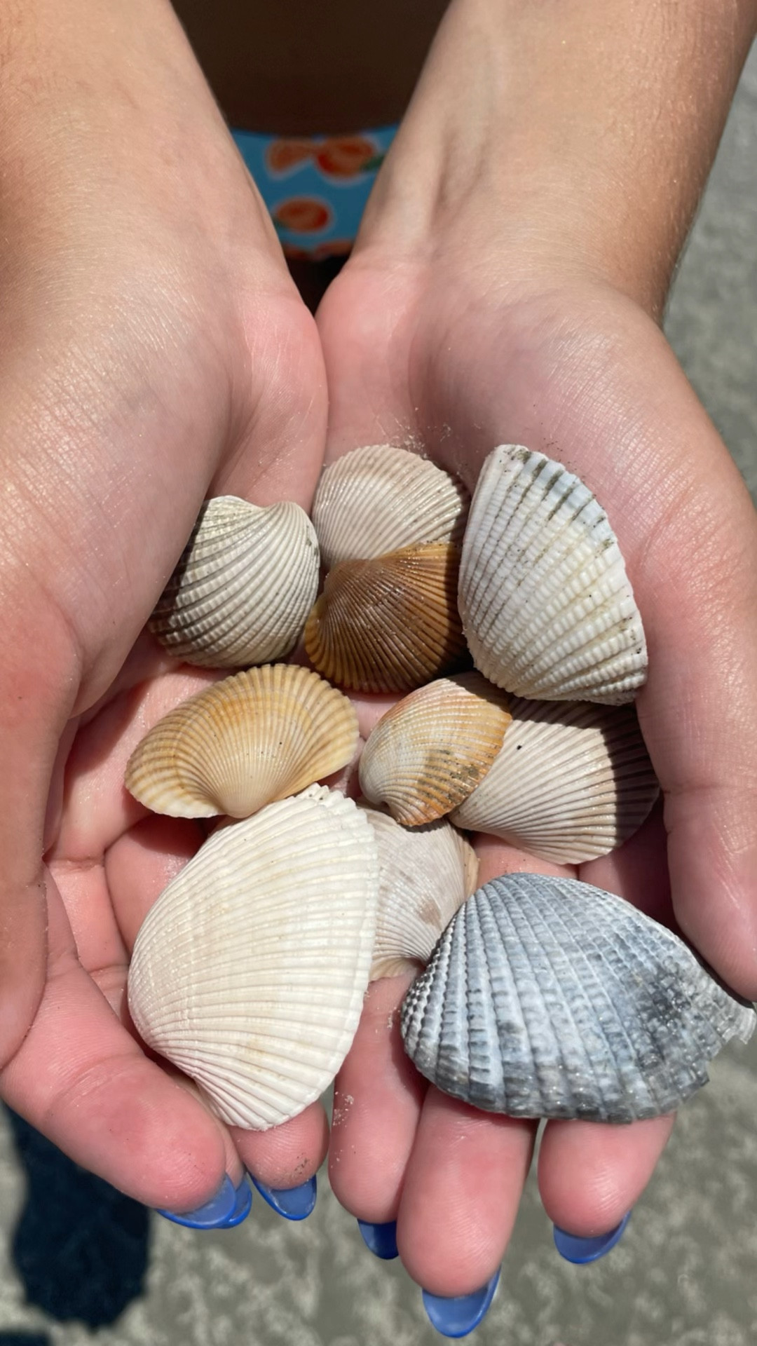 Perfect for the beach! 

#LTKSwim #LTKKids