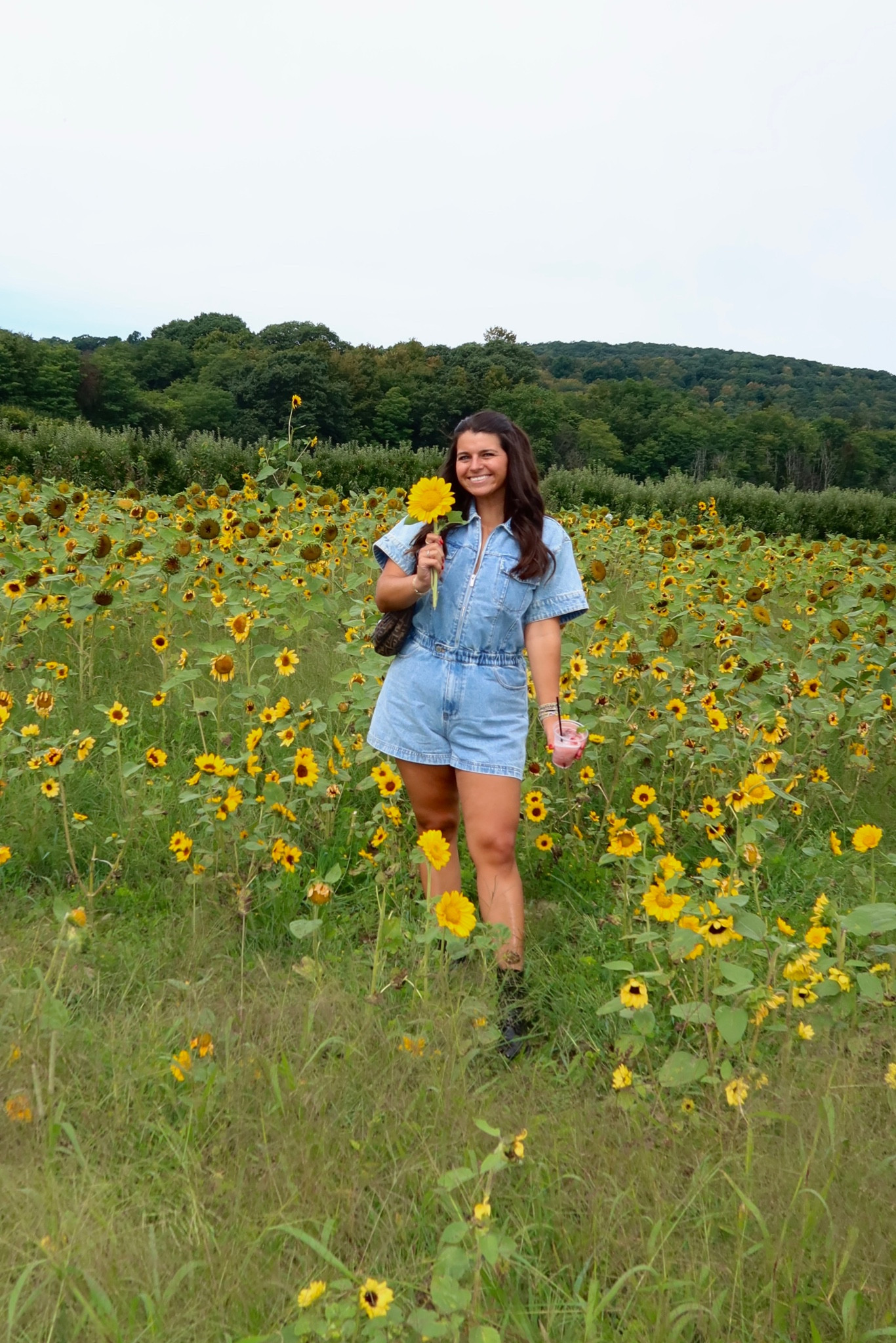 You can find the exact romper on Poshmark and eBay by typing in ‘WeWoreWhat flight romper’ or weworewhat aviator romper’ wearing size L and linking similar ones! 

#LTKSeasonal #LTKstyletip #LTKfindsunder50