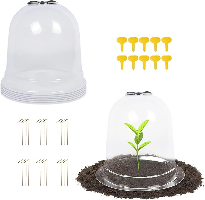 MorTime 6 Pack Garden Cloche Plant Dome, 7.3" D x 6.9" H Plastic Plant Bell Cover Reusable Mini G... | Amazon (US)