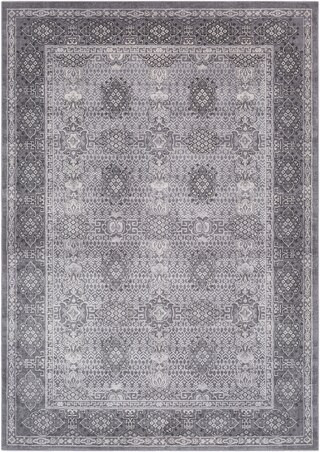Ordway Area Rug | Boutique Rugs