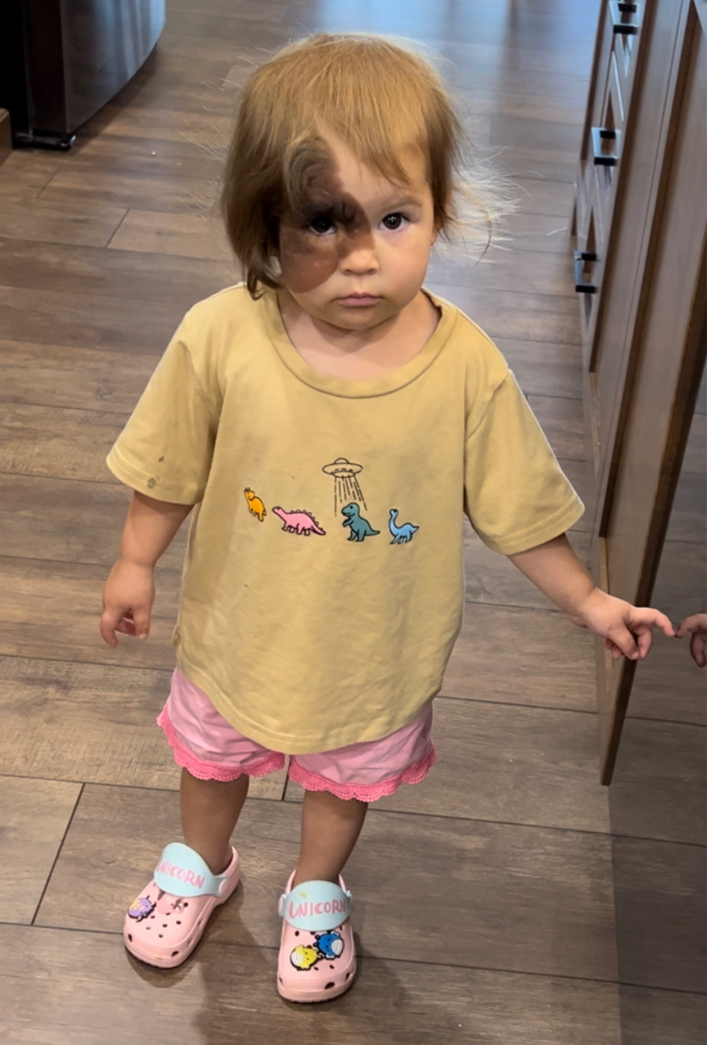 Dino shirt ft in “Chicken nugget cookers” 😂