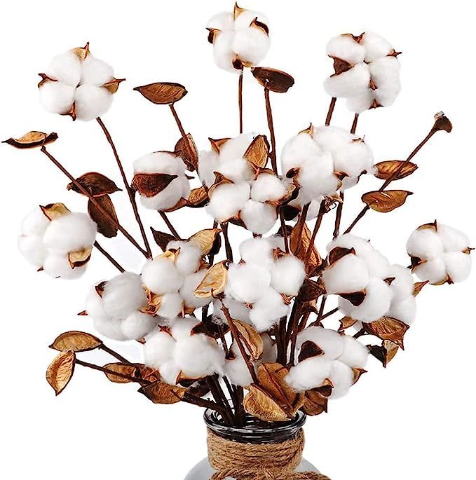 AGEOMET 4pcs 21" Cotton Steams Cotton Flowers 6 Fake Cotton Heads, Faux Dried Cotton Decor for Fa... | Amazon (US)