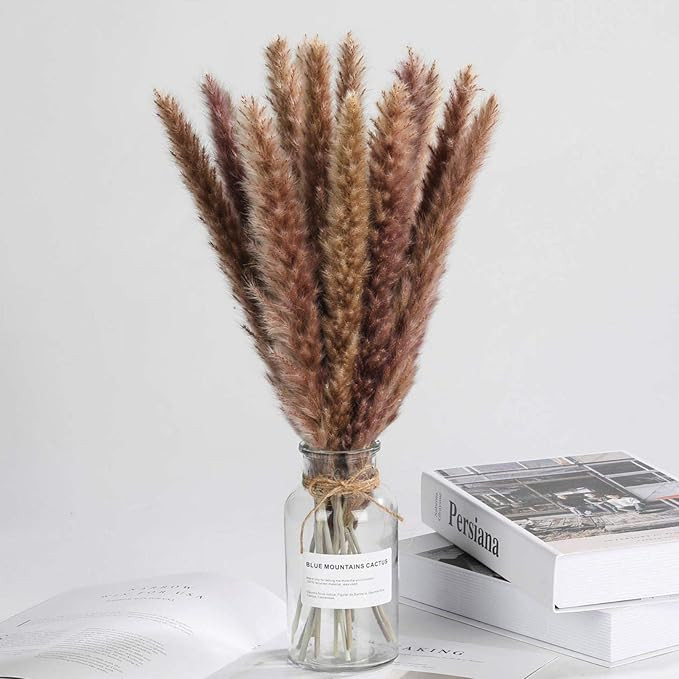 Skalago 30 Pcs Natural Dried Pampas Grass - 17.7 Inch Reed Plumes, Dried Bouquet of Flowers Arran... | Amazon (US)
