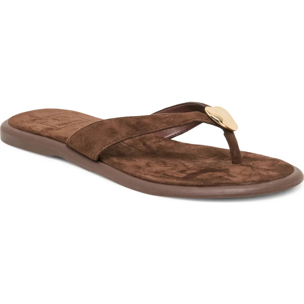 Dolce Vita Jaina Embellished Flip Flop in Dark Brown Nubuck at Nordstrom, Size 11 | Nordstrom