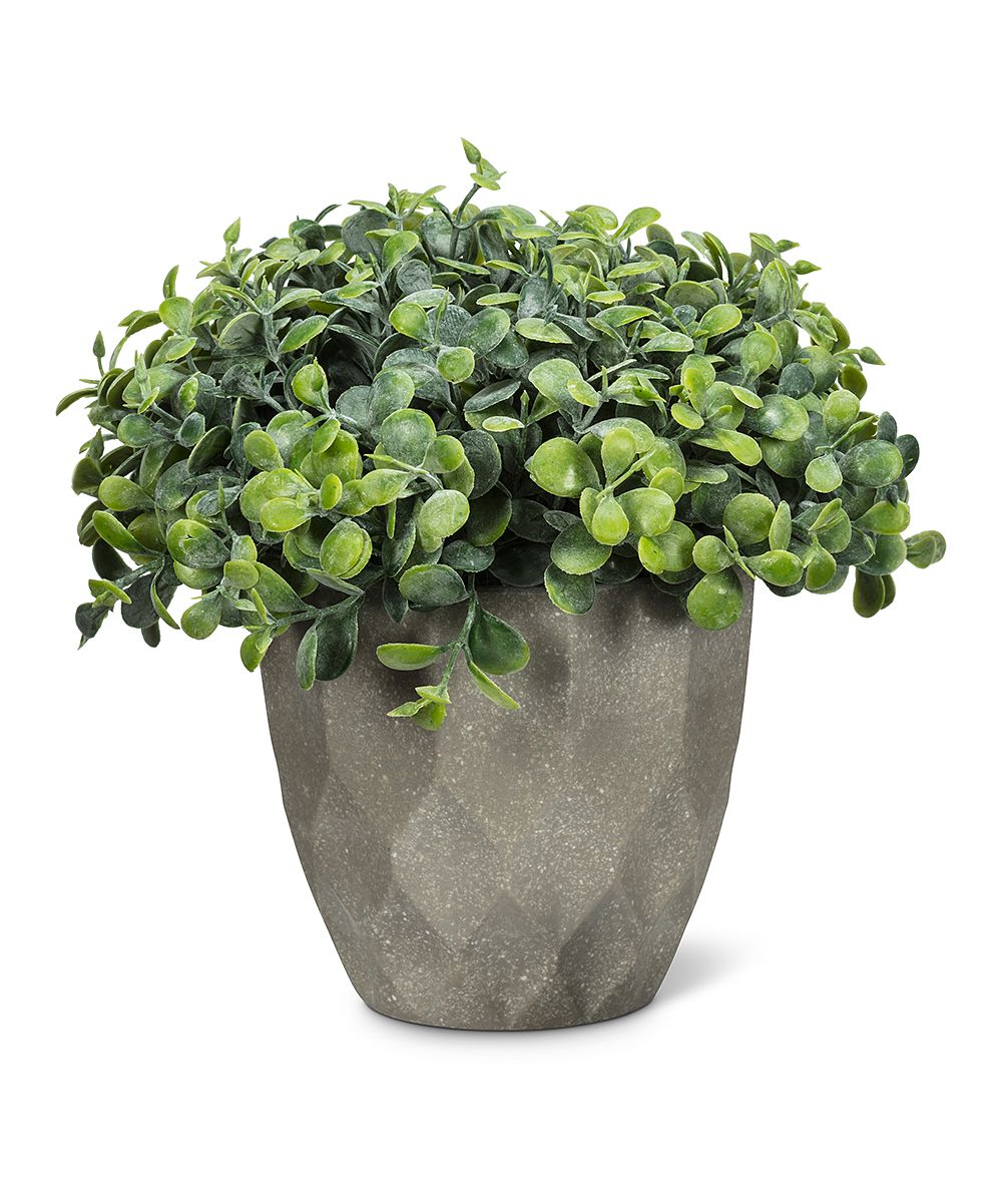 Abbott Faux Plants - Green Teardrop Planter Pot | Zulily