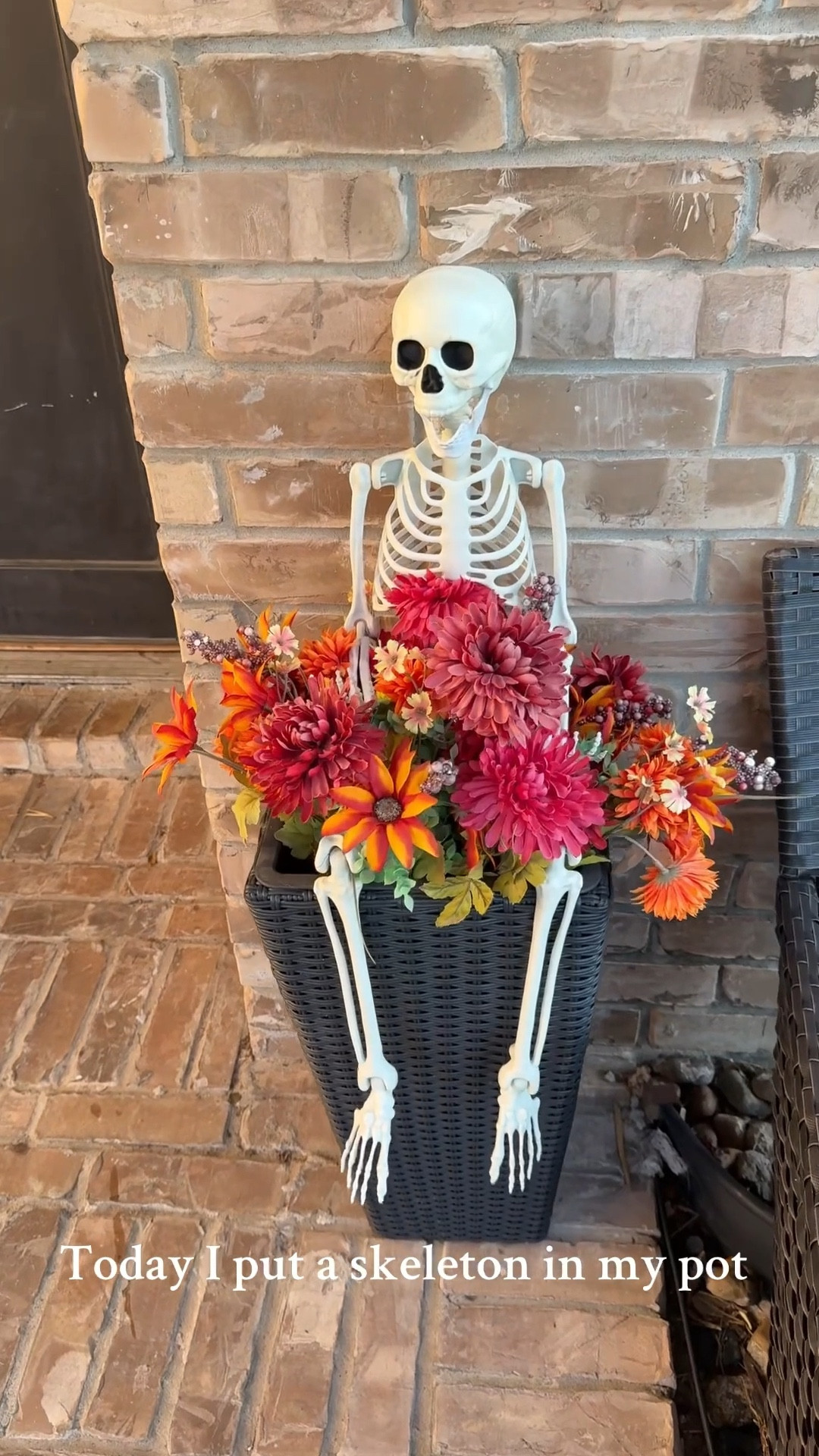 I cut the string off this hanging Skelton and put in my planter! 

My kids loved it! 
#halloween #skeleton #frontporch

#LTKFindsUnder50 #LTKSeasonal #LTKHome