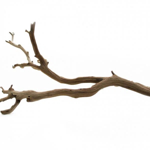 Wood Sculpture | Wayfair North America