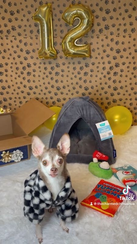 Dog bed, dog toys, dog sweater, dog jacket 

#LTKGiftGuide #LTKfindsunder50 #LTKfamily
