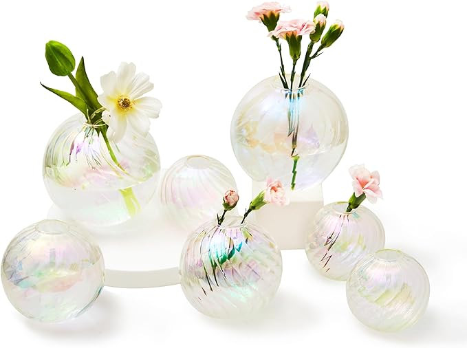 Willceka Bud Vases for Flowers, Clear Bud Vases Set of 7, Cute Glass Vases for Centerpieces, Mini... | Amazon (US)