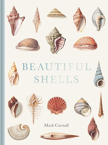 Beautiful Shells: George Perry's Conchology | Amazon (US)