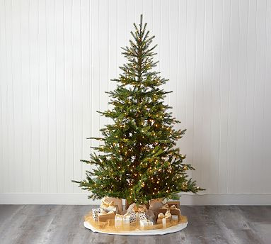 Lit North Carolina Spruce Faux Christmas Tree | Pottery Barn (US)