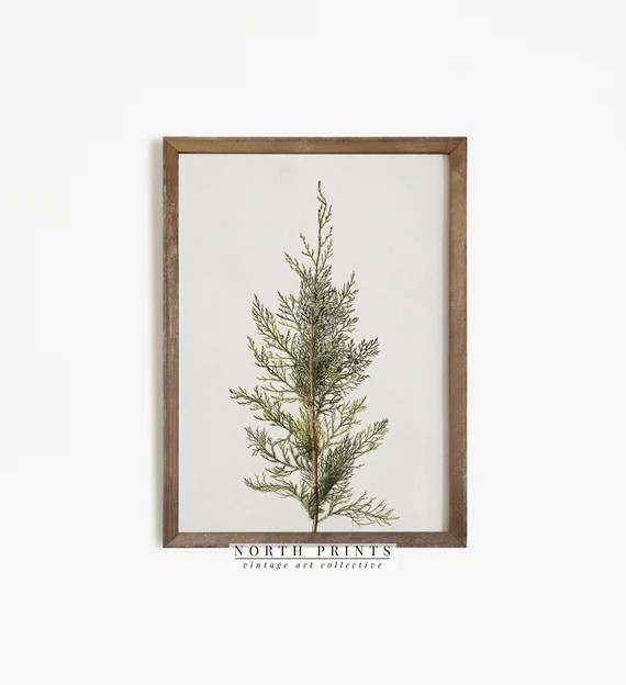 Botanical Winter Print  Country Holiday Wall Decor  Digital - Etsy | Etsy (US)