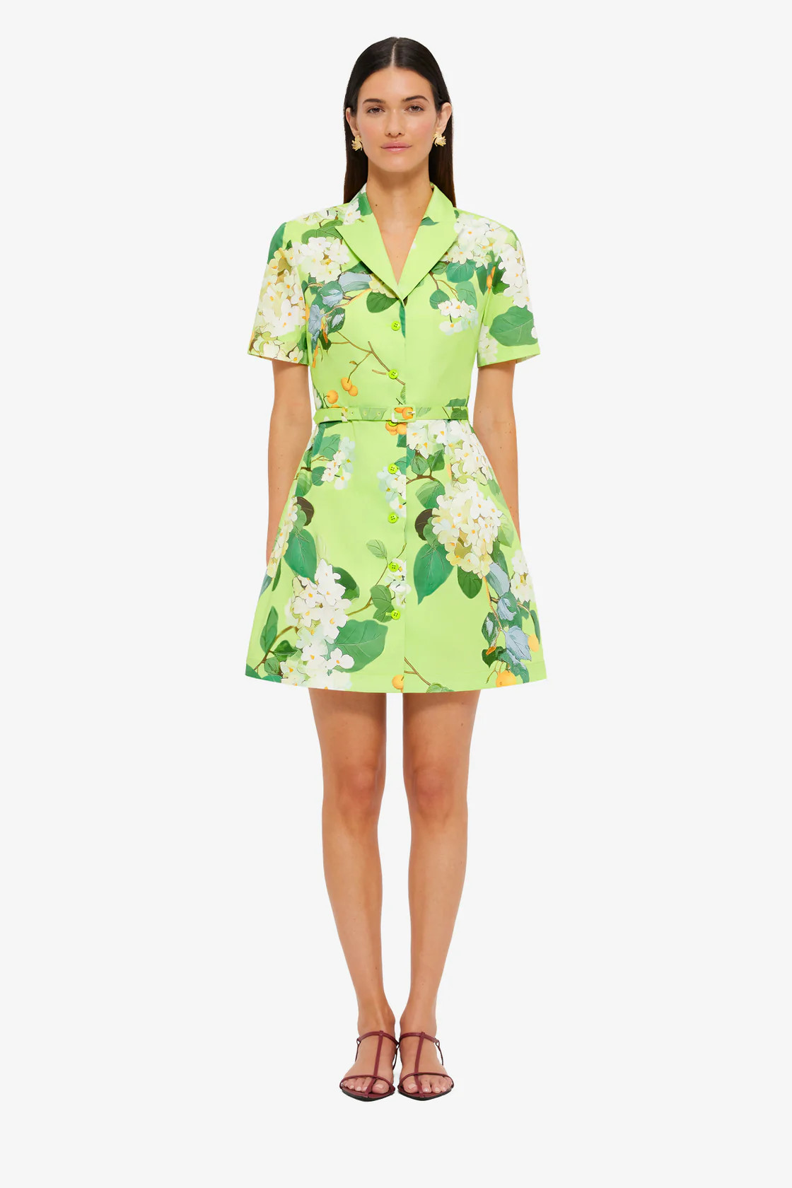 Brigitte Mini Dress - Hydrangea in Lime | LEO LIN US