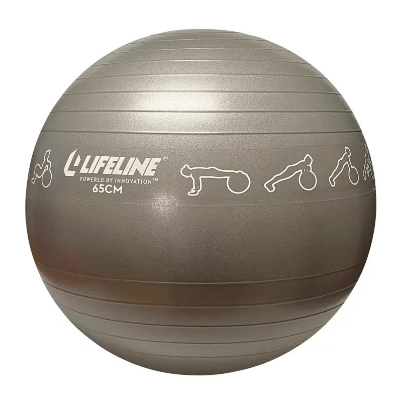 Lifeline 65 cm Exercise Ball | Academy Sports + Outdoors
