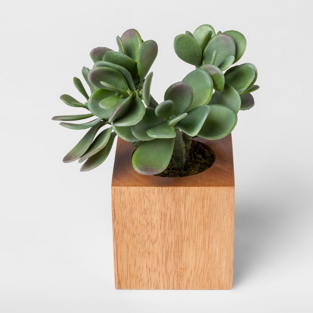 Faux Succulent Plant in Wood Pot - Small - Project 62 , Green Brown | Target