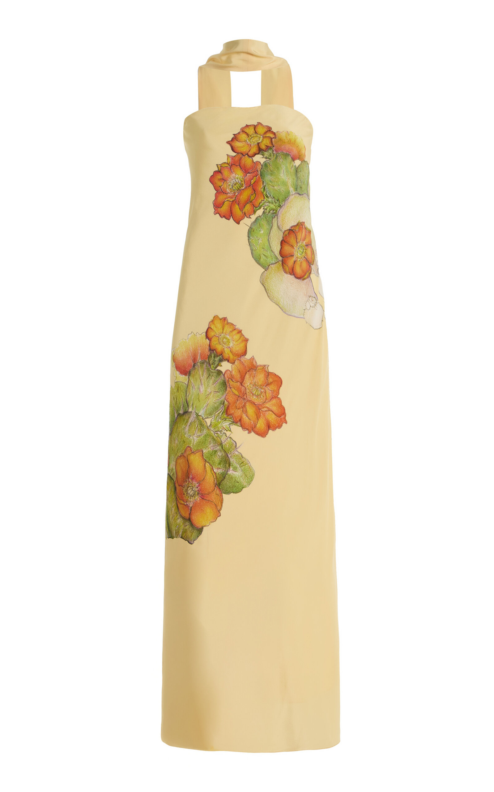 Printed Silk Crepe Bias Maxi Dress | Moda Operandi (Global)
