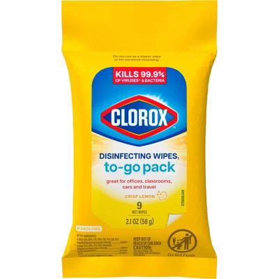 Clorox To Go Citrus Disinfecting Wipes - 9ct | Target