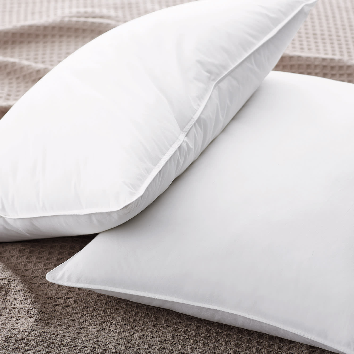 Legends Hotel™ Best Down Pillow | The Company Store