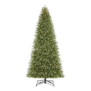 Home Accents Holiday 12 ft Jackson Noble Fir Christmas Tree W14N0204 - The Home Depot | The Home Depot