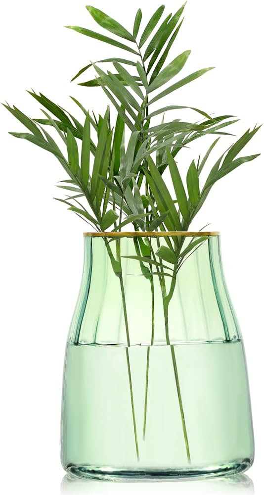 VanEnjoy 7 inch Green Clear Simple Green Glass Flower Vase, Decorative Gilded Rim Vase Home Decor... | Amazon (US)